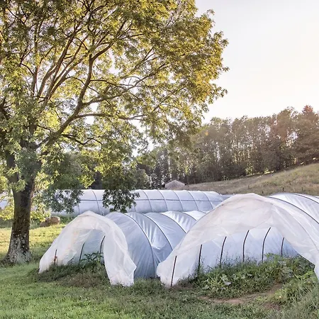 Bauernhof Cascina Il Faggio *